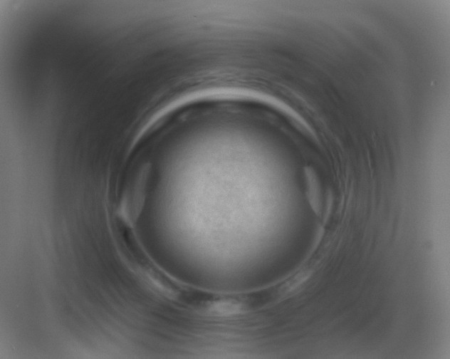 X0000083560168200702091134