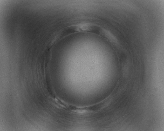 X0000083560169200702091134