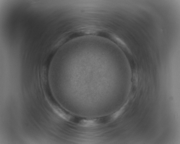 X0000083560170200702091134