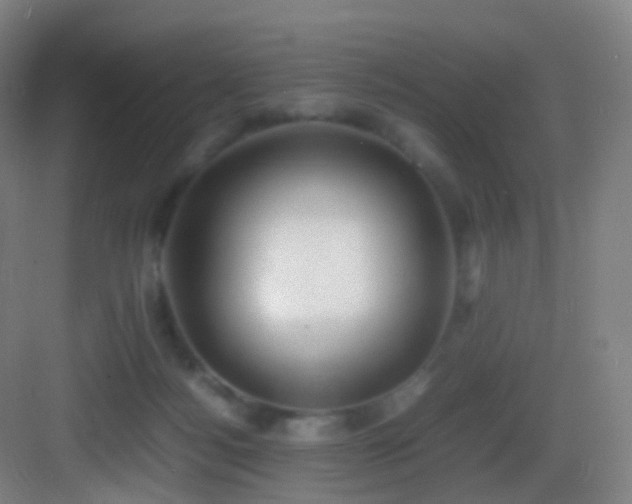 X0000083560172200702091134