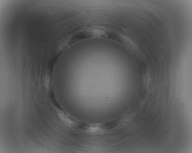 X0000083560177200702091134