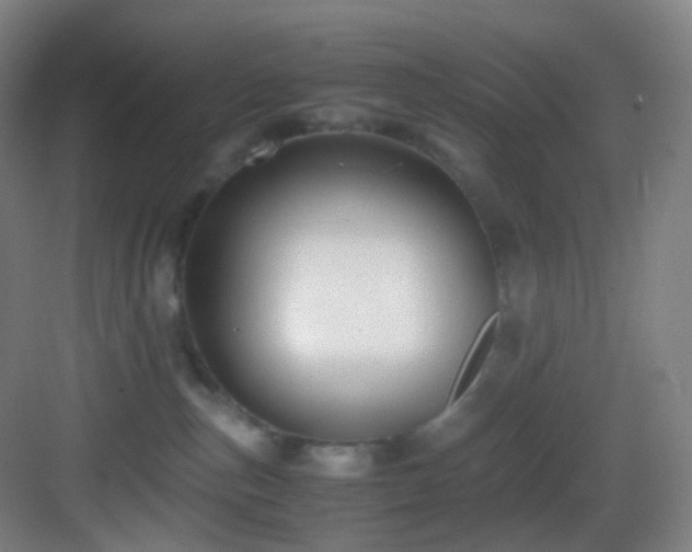 X0000083560187200702091134
