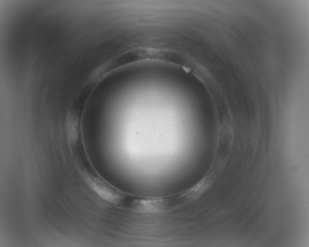 X0000083560188200702091134