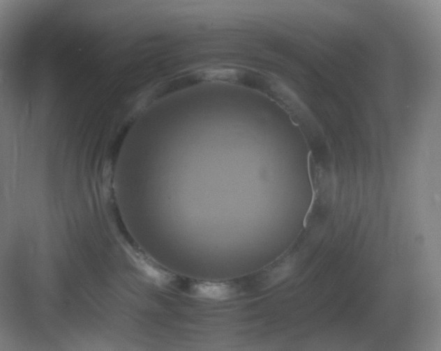 X0000083560189200702091134