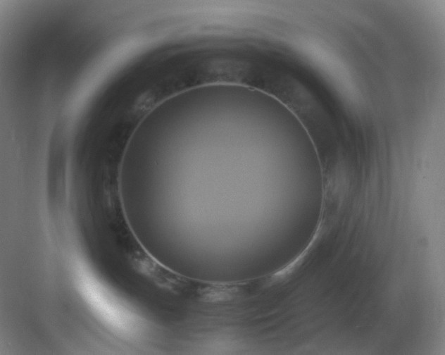 X0000083560191200702091134
