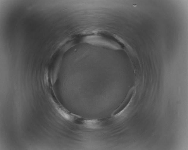 X0000083560192200702091134