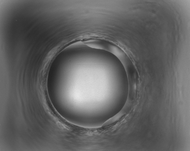 X0000083560193200702091133