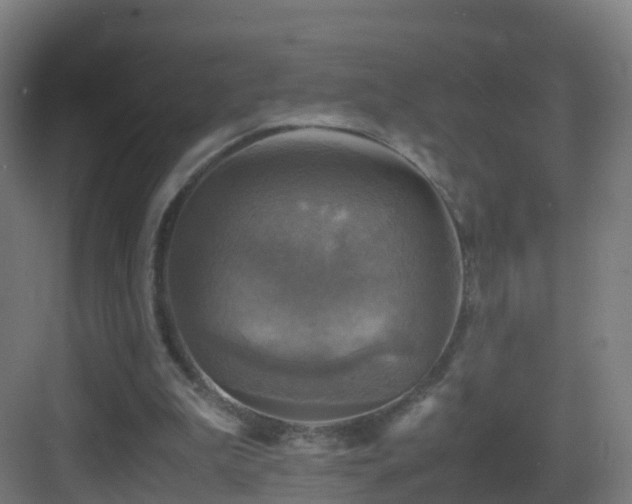 X0000083560199200702091133