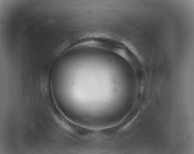 X0000083560201200702091133