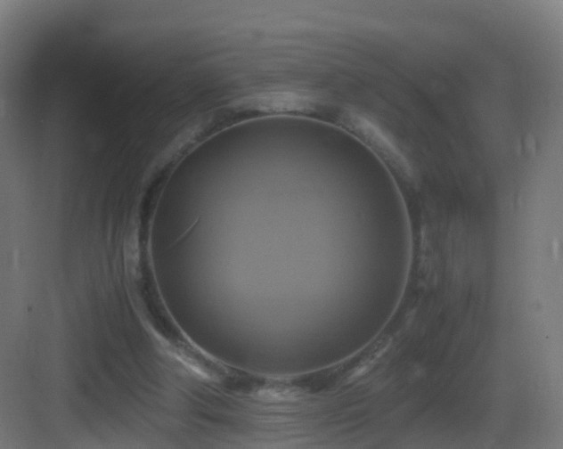 X0000083560202200702091133