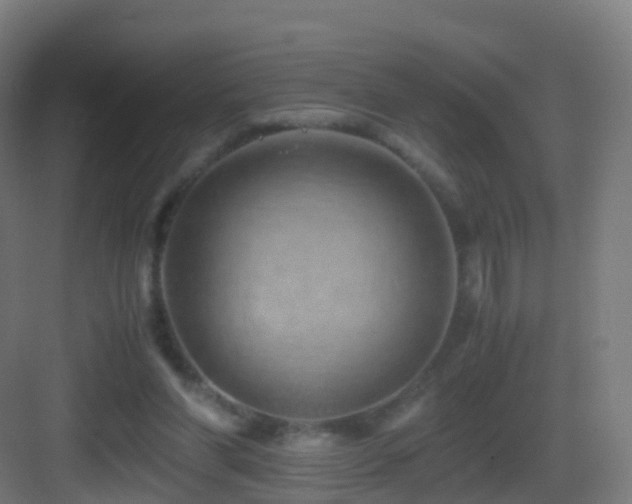 X0000083560206200702091133