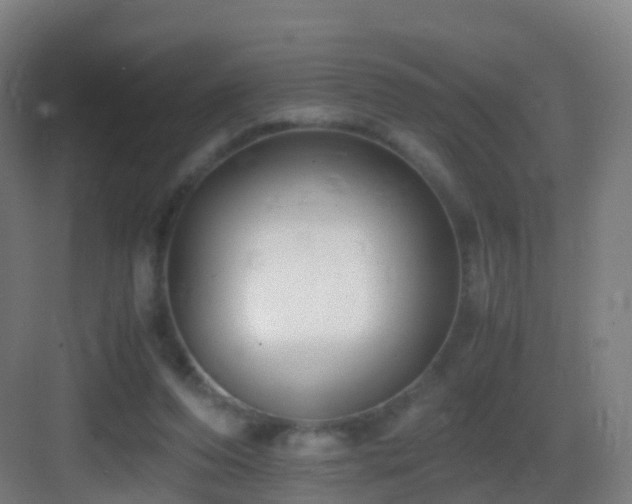 X0000083560208200702091133