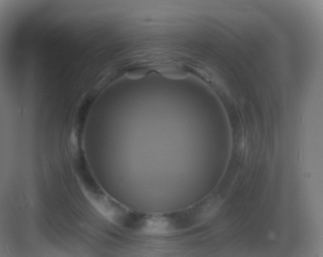 X0000083560214200702091133
