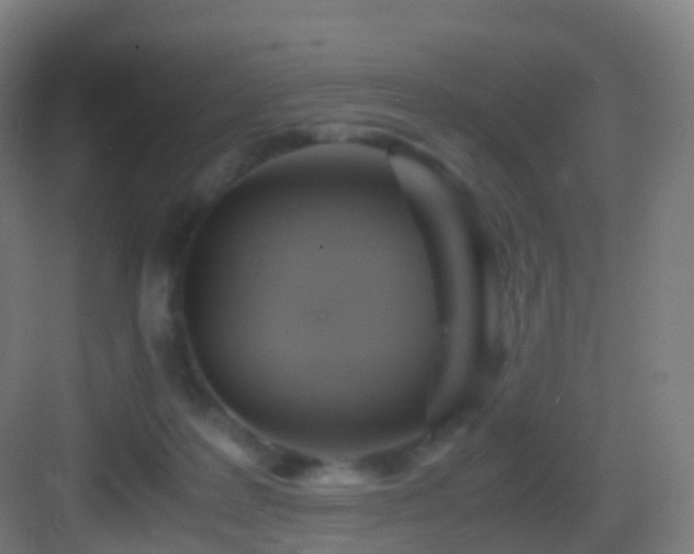 X0000083560219200702091133