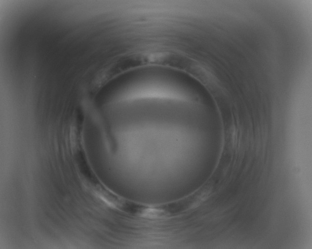 X0000083560222200702091133