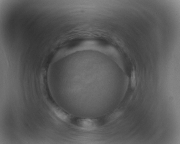X0000083560229200702091133