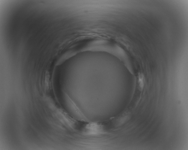 X0000083560231200702091133