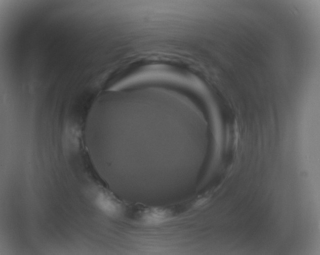 X0000083560235200702091133