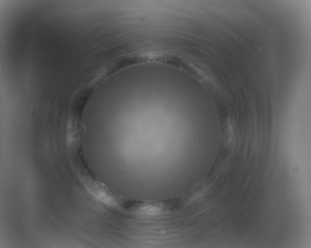 X0000083560236200702091133