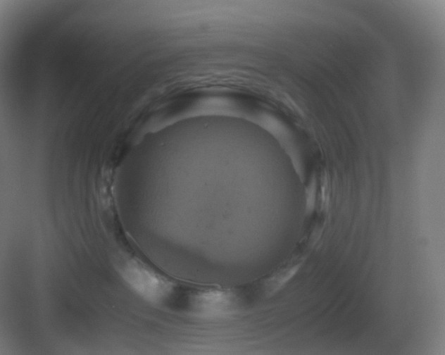 X0000083560237200702091133