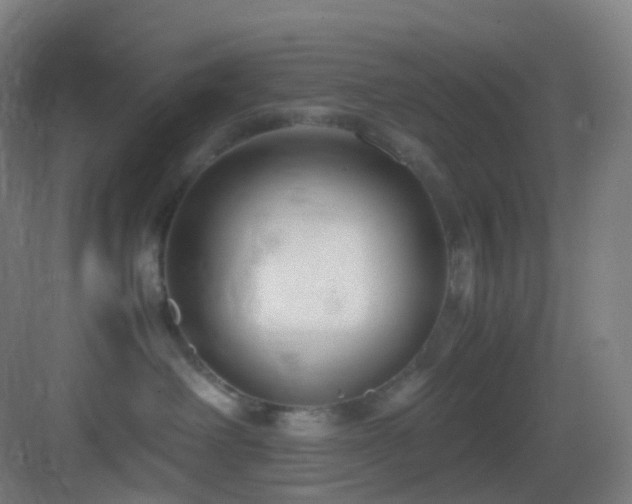 X0000083560238200702091133