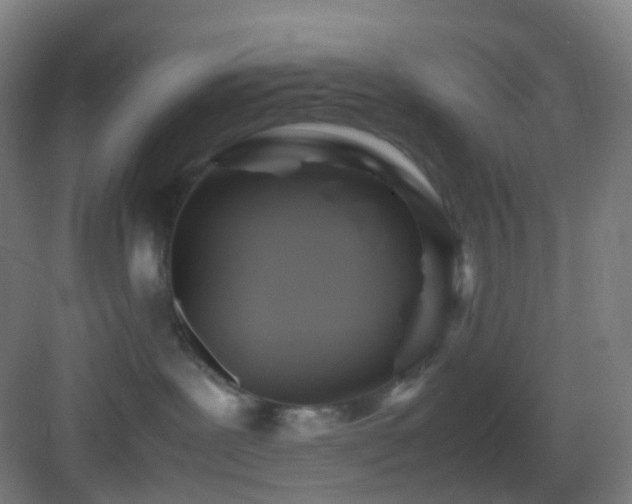 X0000083560239200702091133