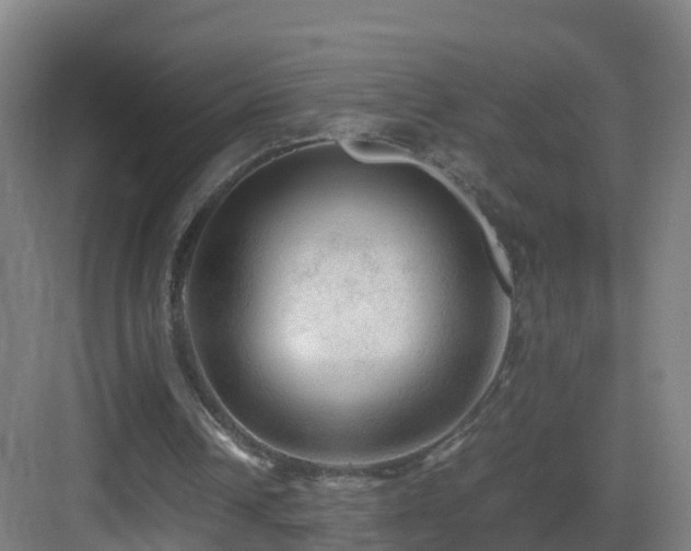 X0000083560242200702091132