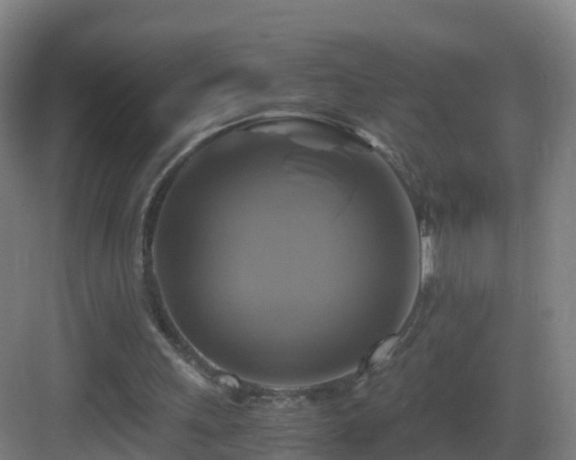 X0000083560243200702091132