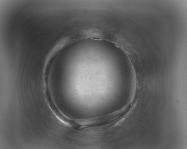 X0000083560245200702091132