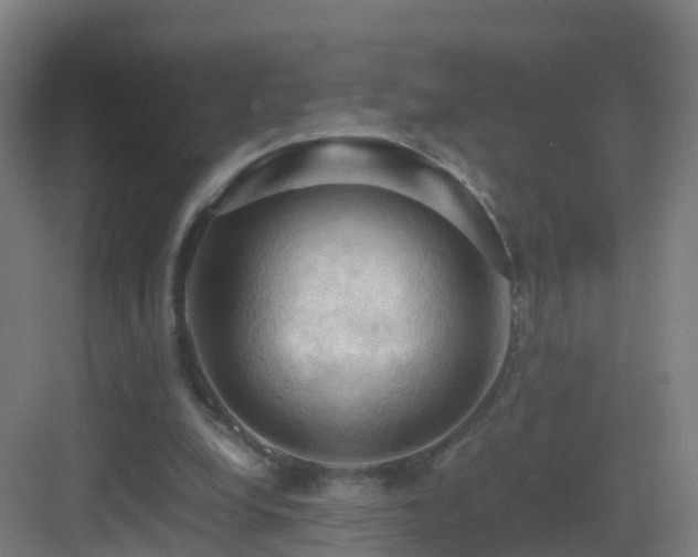 X0000083560248200702091132