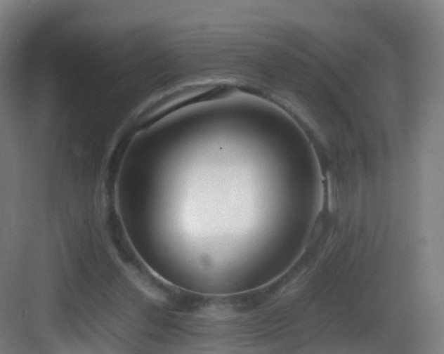 X0000083560252200702091132