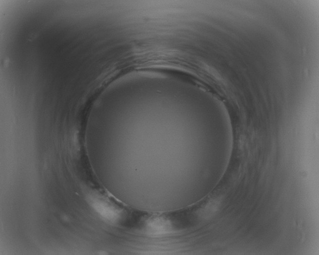 X0000083560258200702091132