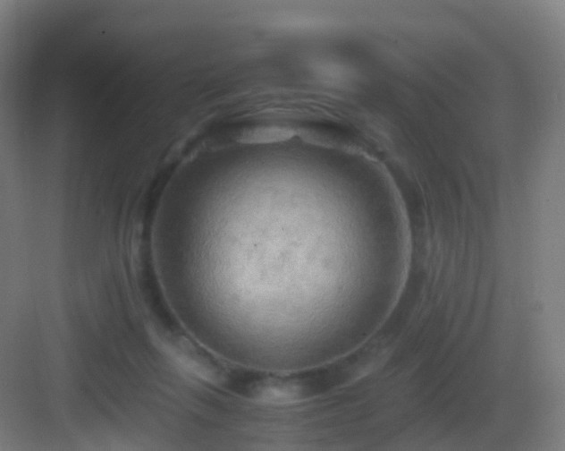 X0000083560263200702091132