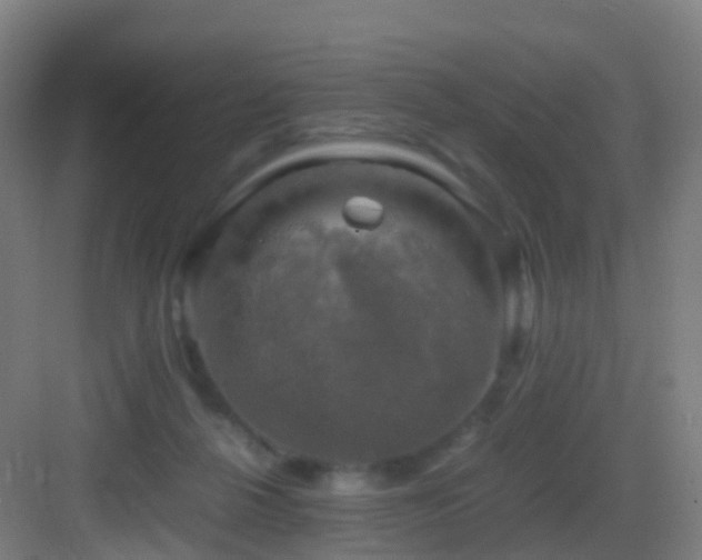 X0000083560264200702091132