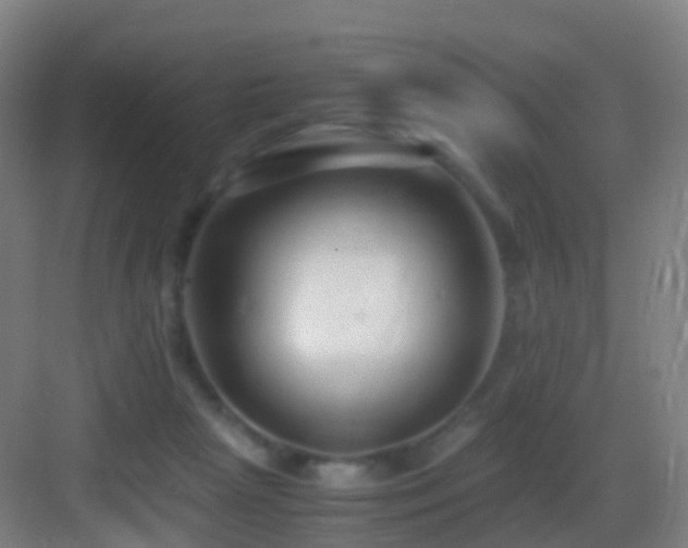 X0000083560265200702091132