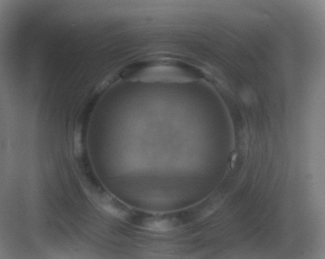 X0000083560267200702091132