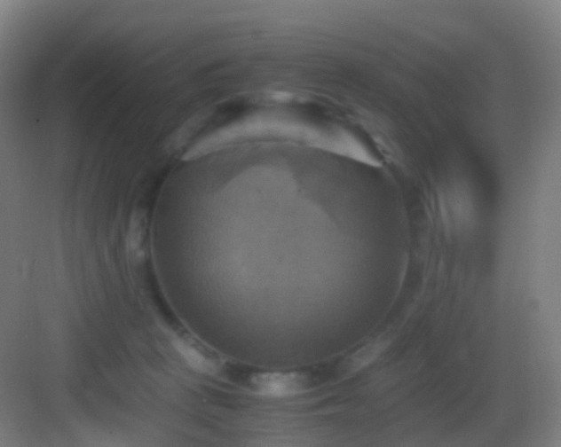 X0000083560273200702091132