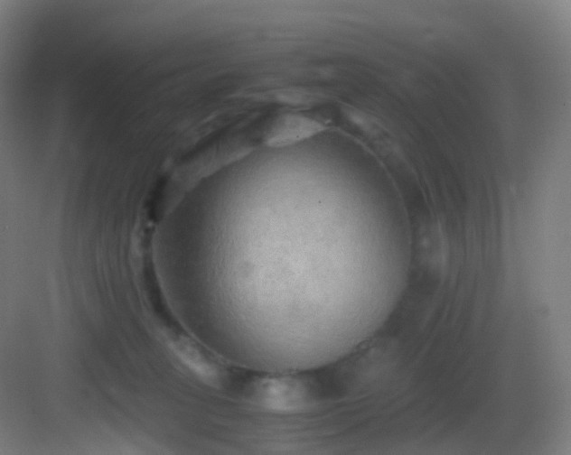 X0000083560275200702091132