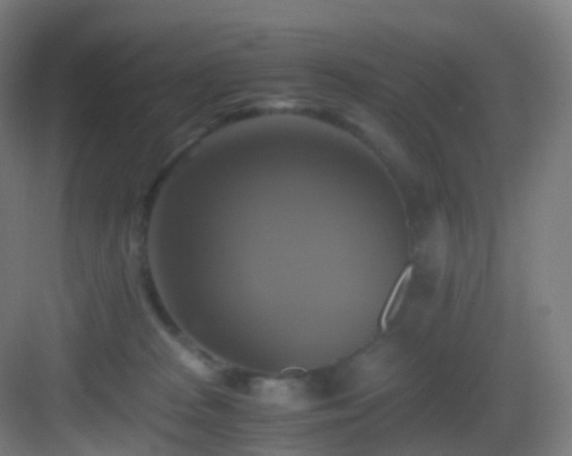 X0000083560277200702091132