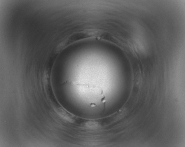 X0000083560279200702091133