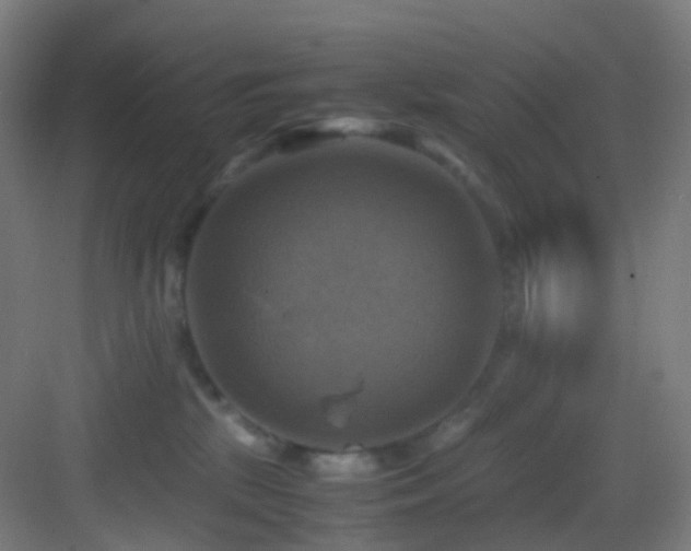 X0000083560281200702091133