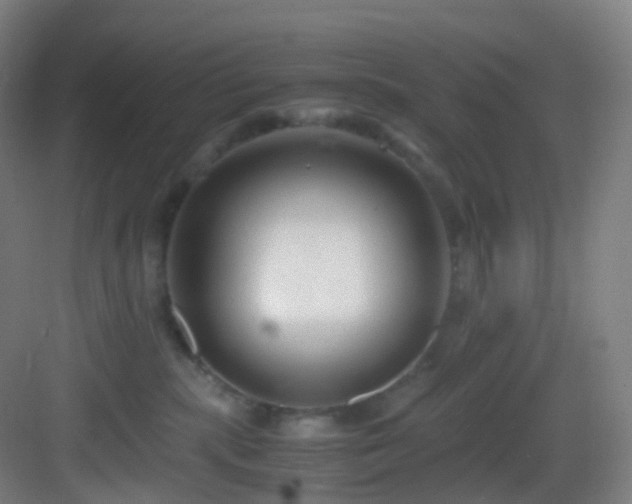 X0000083560283200702091133