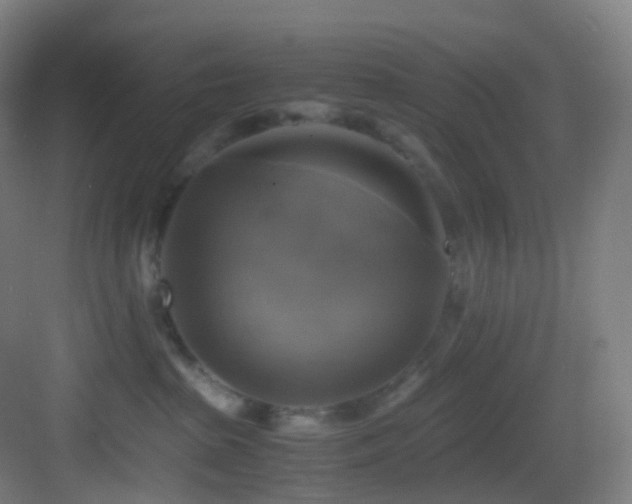 X0000083560285200702091133