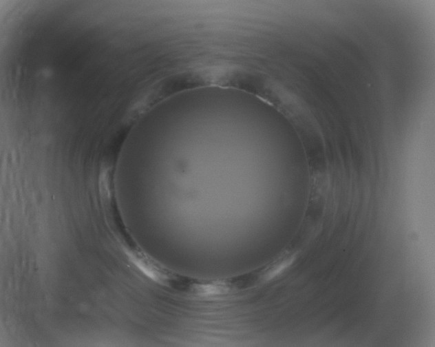 X0000083560286200702091133