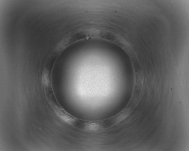 X0000083560287200702091133
