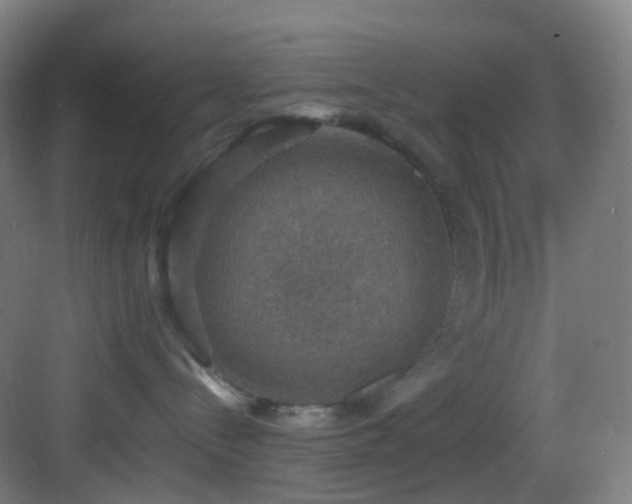 X0000083560288200702091133