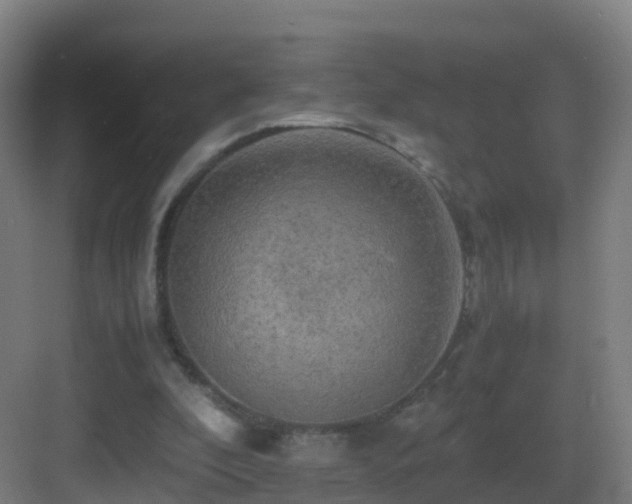 X0000083560296200702091132