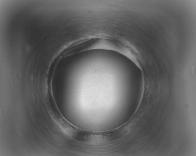 X0000083560298200702091132