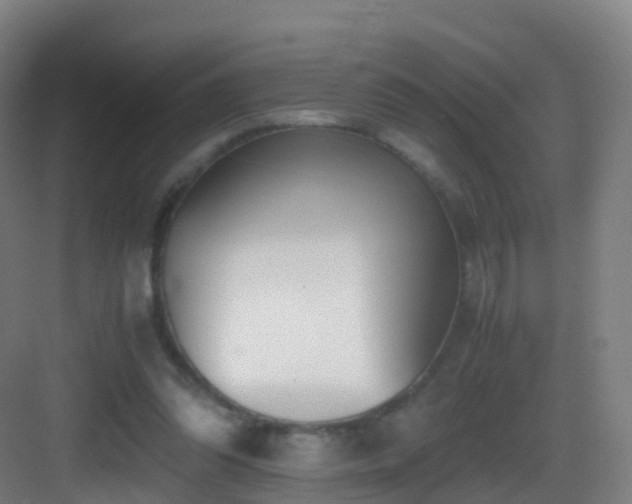 X0000083560302200702091132