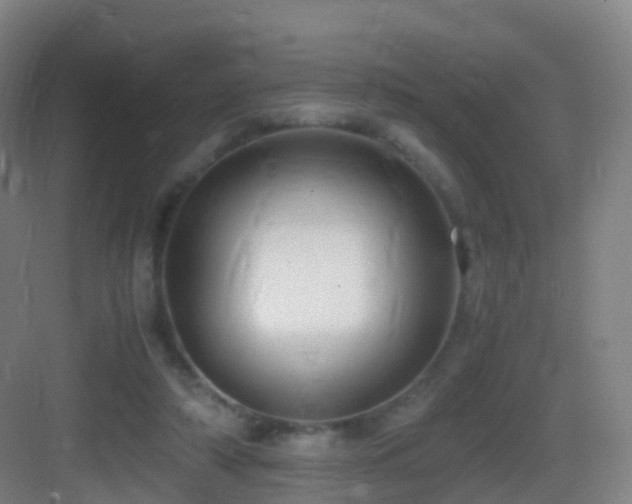 X0000083560306200702091132